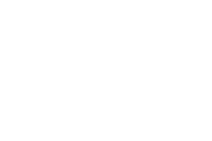 Instituto Vale